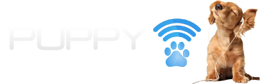 logo 12400000
